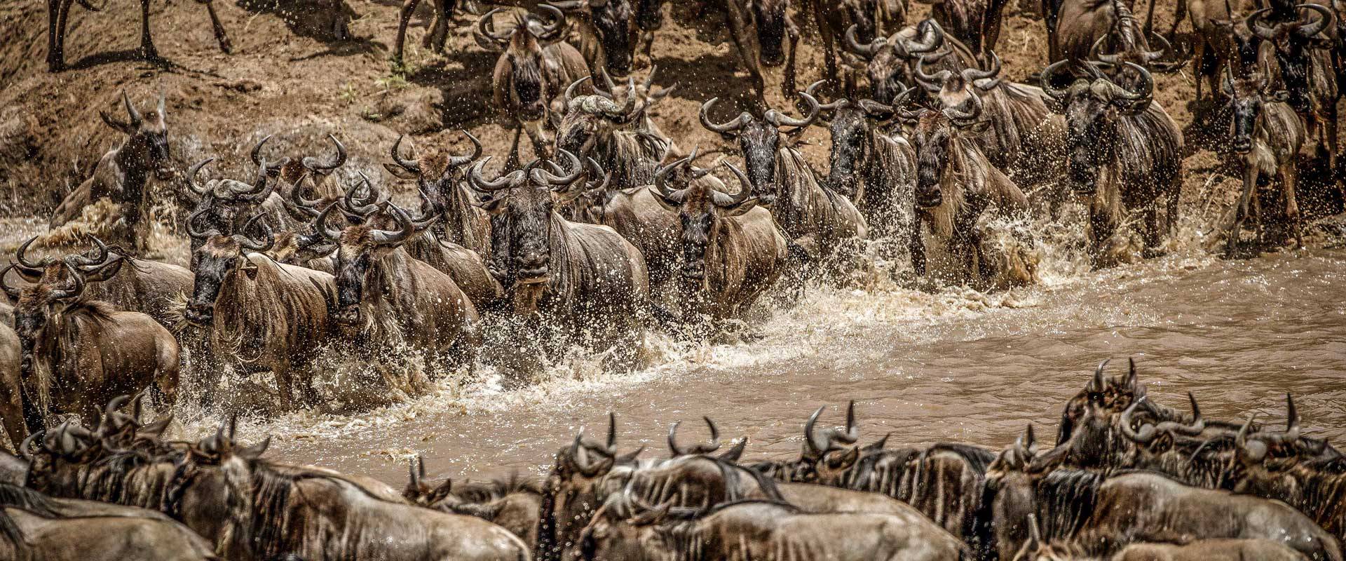 Kenya Safari Lodges Masai Mara